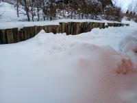 20250112_133854 (1024x768).jpg